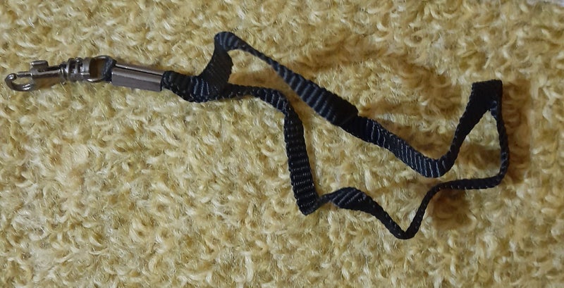 New wrist lanyard for digital cameras Carousel 3