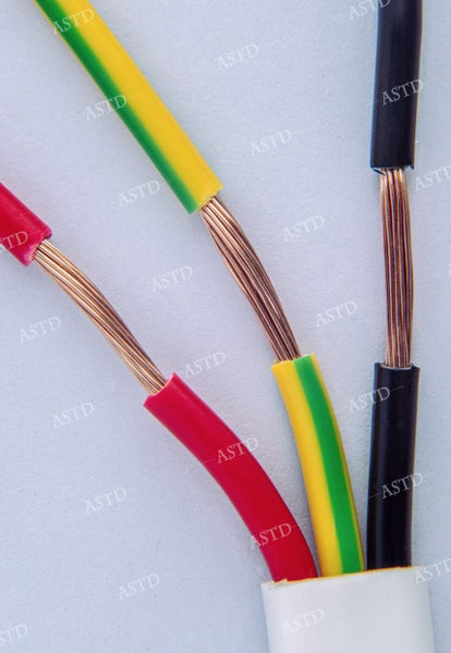 TPS CABLE - TPS Cable 2.5mm (Roll-100M) 2C+ E Carousel 2
