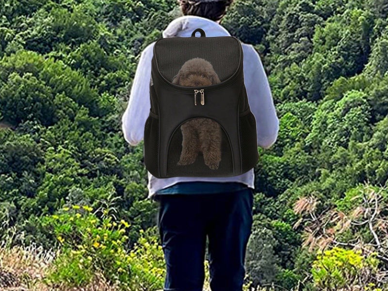 Pet Cat Carrier Bag Breathable Mesh Backpack Outdoor Travel Space Backpack Black Carousel 2