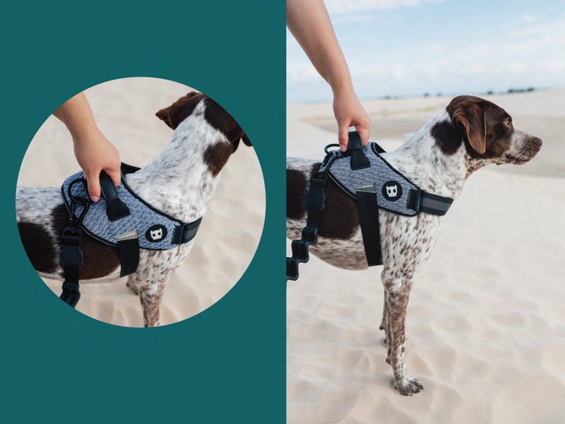 ZEE.DOG FLYHARNESS - GOTHAM BLACK - size 3 Carousel 2