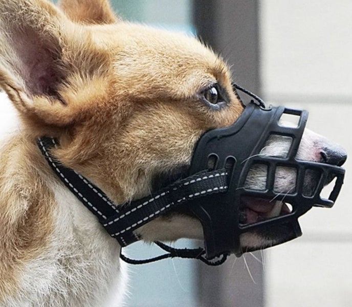 Dog Muzzle Soft Silicone Mouth Mask Anti Bark Brite Dog Training Muzzl Carousel 1