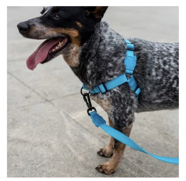 ZEE.DOG Softwalk Harness - LARGE Carousel 1