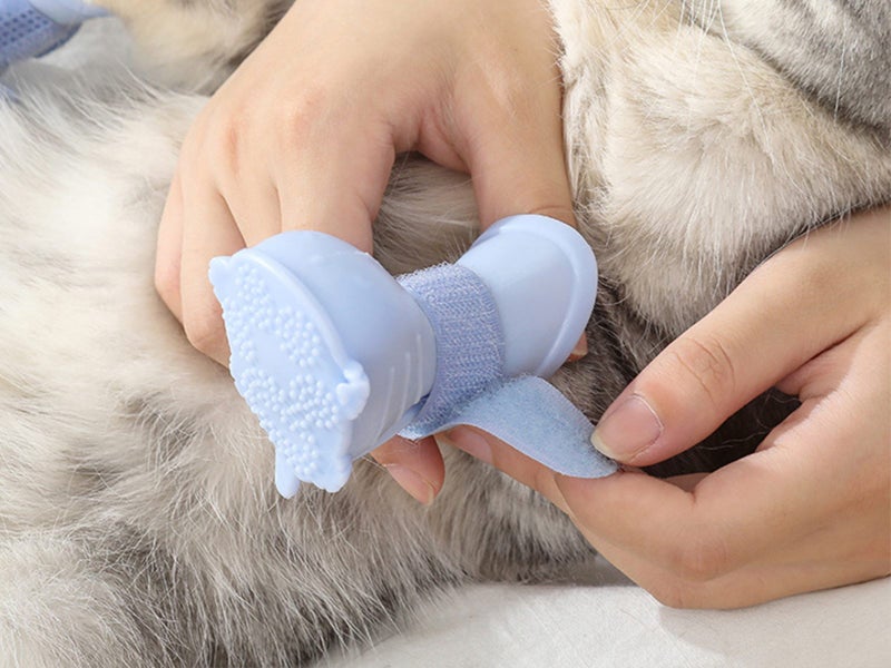 8Pcs Dog Boots Dog Shoes Cat Paw Protector Anti-Slip Pet Rain Boots XL Carousel 2