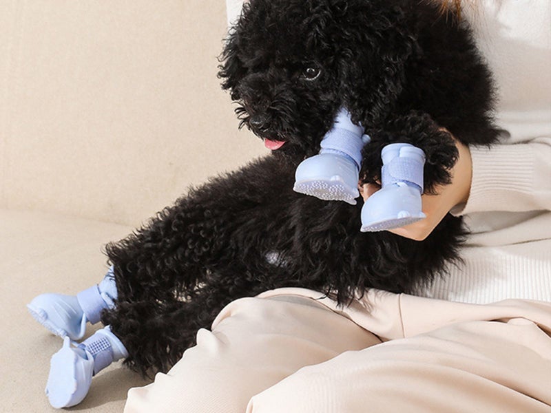 8Pcs Dog Boots Dog Shoes Cat Paw Protector Anti-Slip Pet Rain Boots XL Carousel 6