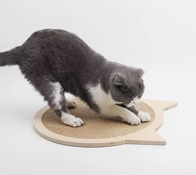 Cat Scratch Board Cat Toy Carousel 9