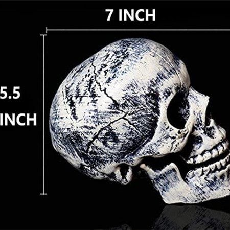 Realistic Skeleton Stakes,Halloween Lawn Decorations Carousel 7