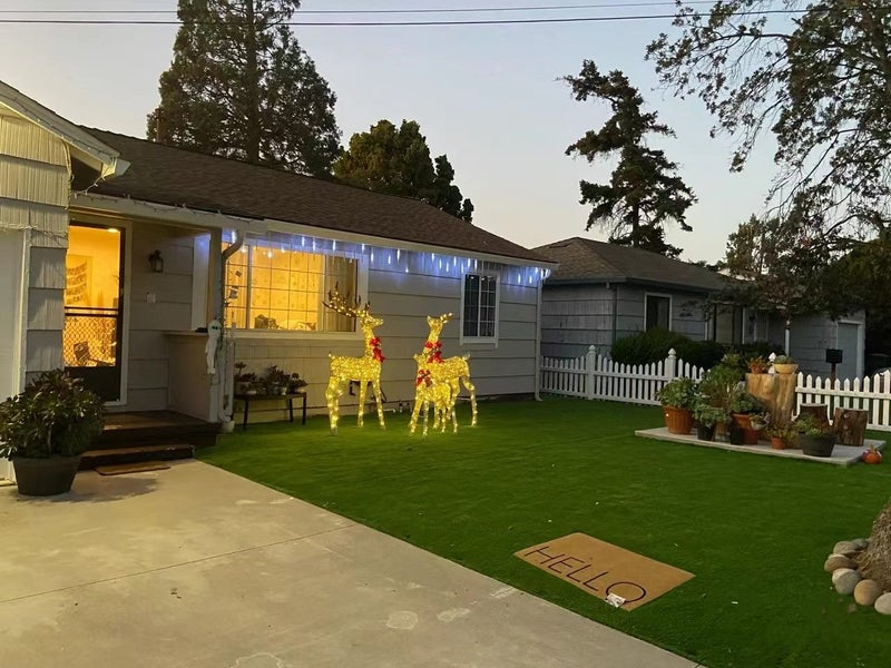 Artificial Grass Carousel 19