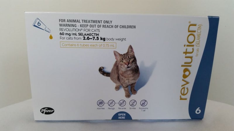 REVOLUTION CAT 6 PACK WITH AFTERPAY Carousel 1