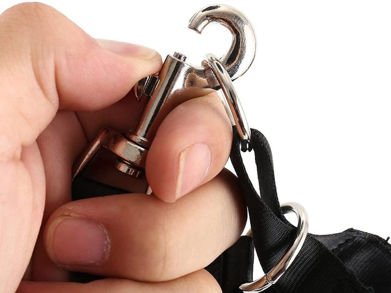 Dog Head Collar NZ Clearance Carousel 6