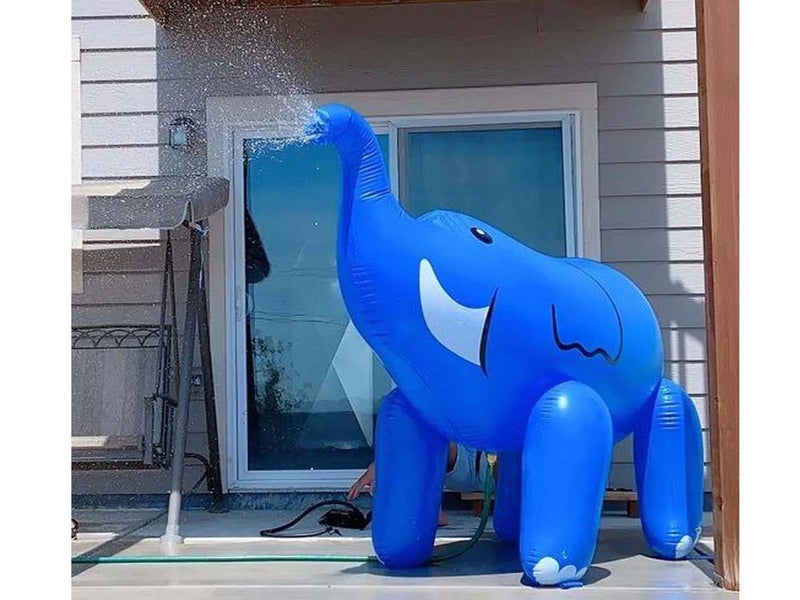 Inflatable Water Sprinkler Toys Outdoor (Auckland Clearance) Carousel 8