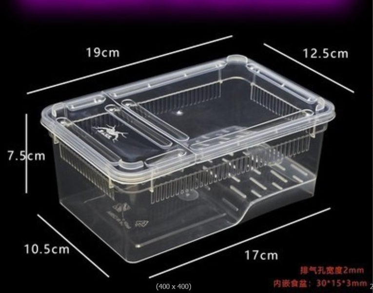 frog, isopods, Terrarium, Transparent, Insect Reptile Transport, Amphibious box Carousel 2