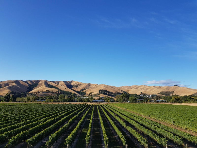 Blenheim Rural properties Trade Me Property