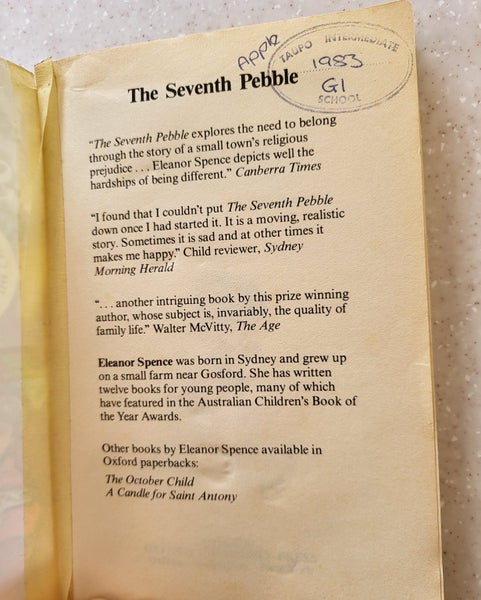 The Seventh Pebble by Eleanor Spence Carousel 2