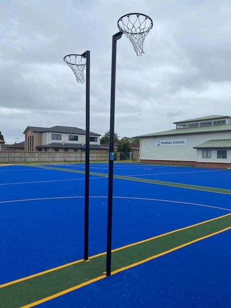 Netball Goal: Full size fixed height Carousel 1