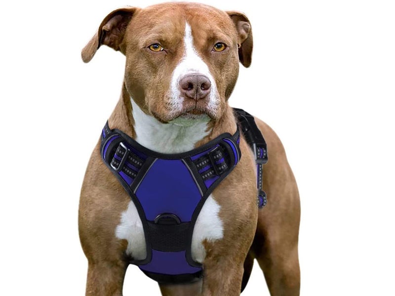 Dog Harness Quick Release NZ Clearance Carousel 2