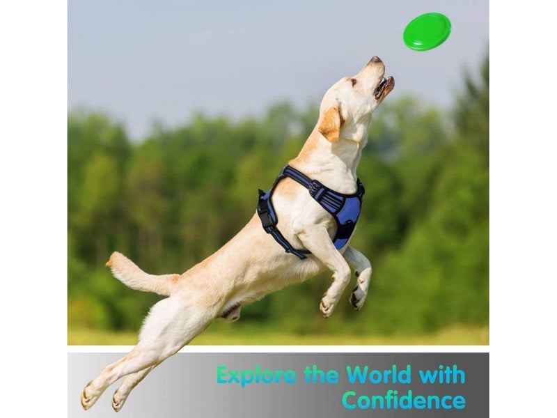 Dog Harness Quick Release NZ Clearance Carousel 9