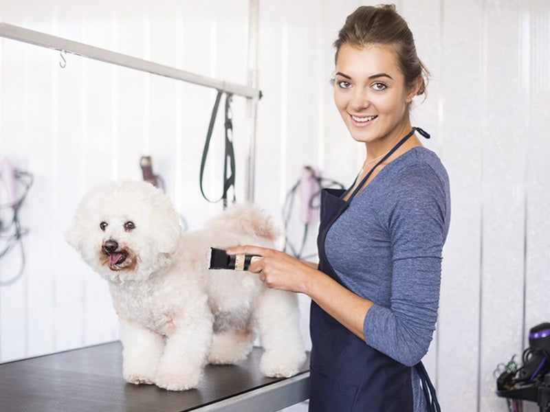 Professional Dog Clippers Cordless Carousel 2