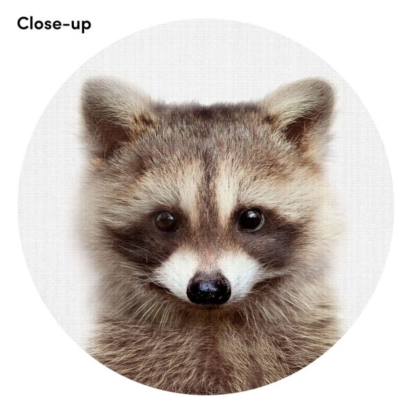Woodland Raccoon by Lila & Lola Art Print - A3 Carousel 2