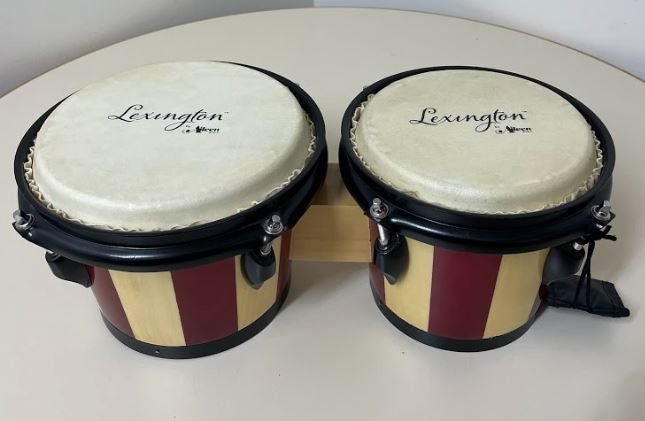 Bongos Striped Carousel 1