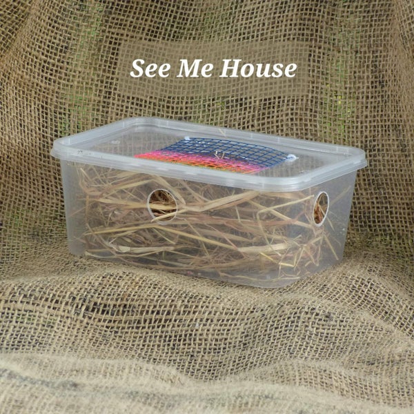 See Me Mouse House Carousel 1