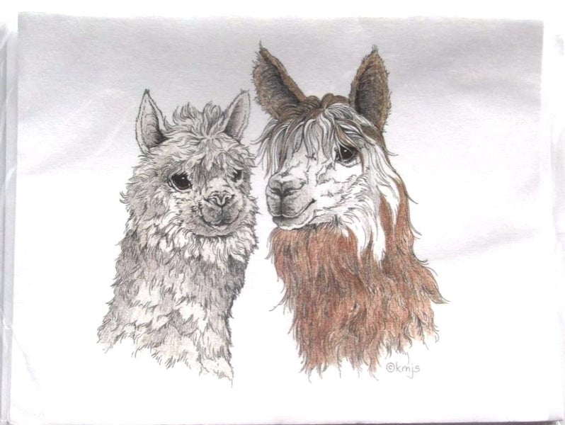 Alpaca greeting cards - pack of 5. Carousel 1