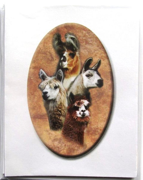Camelid (llama and alpaca) greetings cards (5) Carousel 1