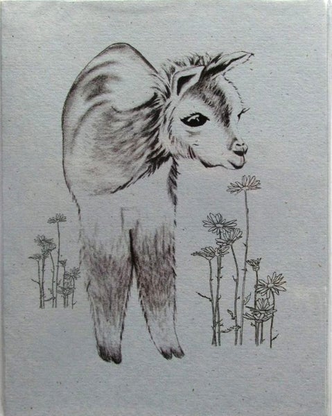 Cria (Baby llama or alpaca) greetings cards (5) Carousel 1