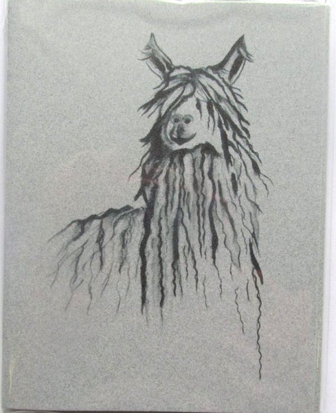 Suri alpaca/llama greeting cards - pack of 5. Carousel 1