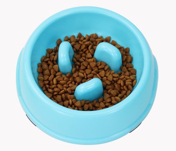 Pet Slow Feed Bowl Carousel 2