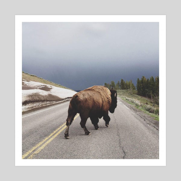 Street Walker by Kevin Russ Art Print - 43cm x 43cm Carousel 1