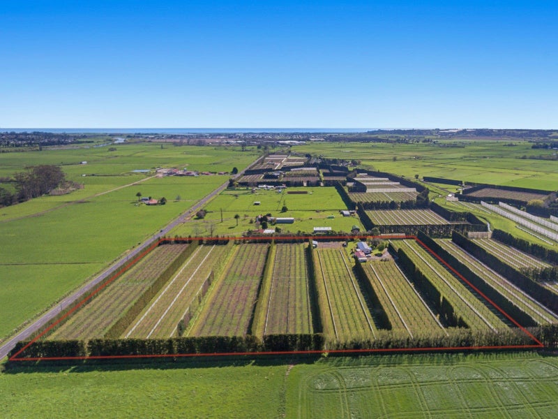 Opotiki Rural properties Trade Me Property