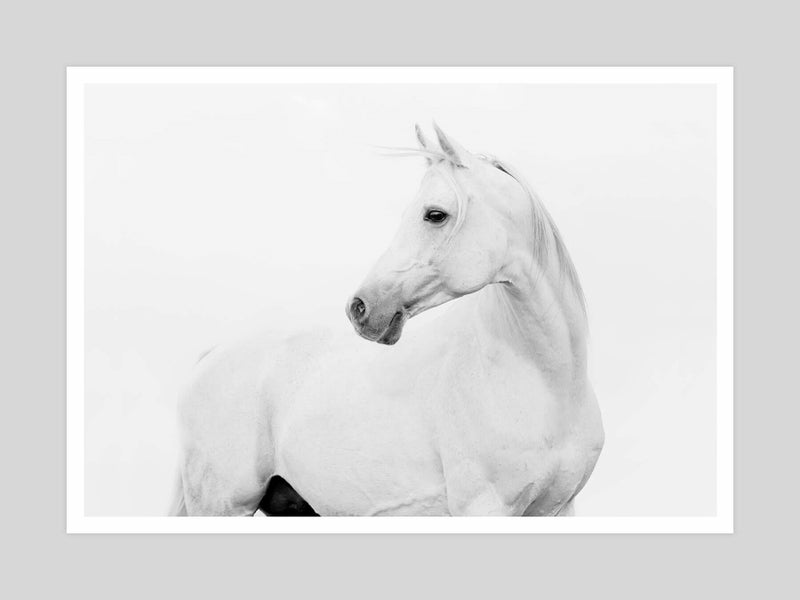 Horse Lover Art Print - 100cm x 70cm Carousel 1