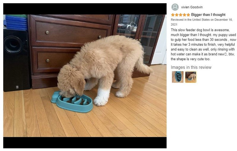 Brand New Large Dog Food Bowl Slow Feeder 32cm *Sale NOW* Carousel 2