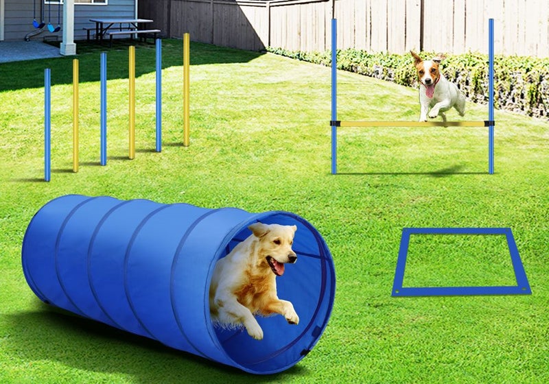Dog Agility Training Exercise Equipment Set Carousel 2