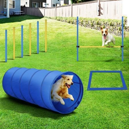 Dog Agility Training Exercise Equipment Set Carousel 1