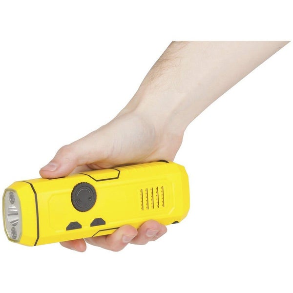 Techlight 4in1 Dynamo Radio (FM/AM) Torch Hand Crank Emergency Charger Carousel 6