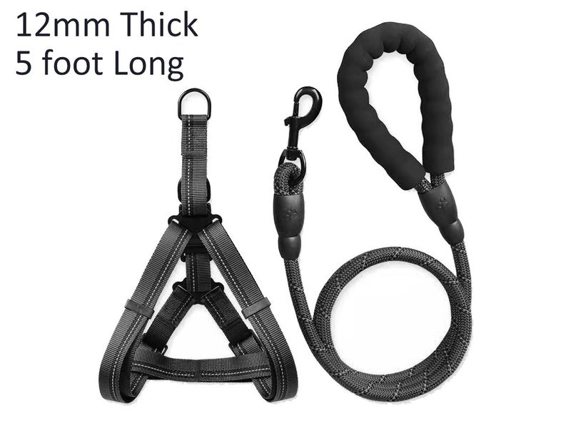 Dog Leash and Harness NZ Clearance Carousel 10