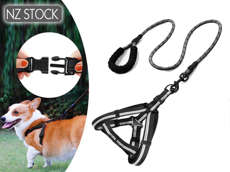 Dog Leash and Harness NZ Clearance Carousel 1