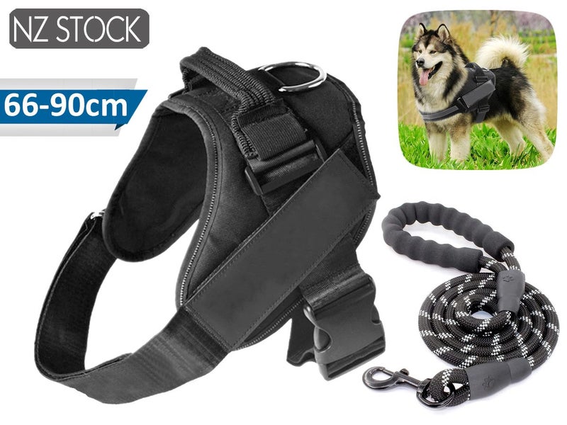 Dog Training Lead and Harness NZ Clearance Carousel 1