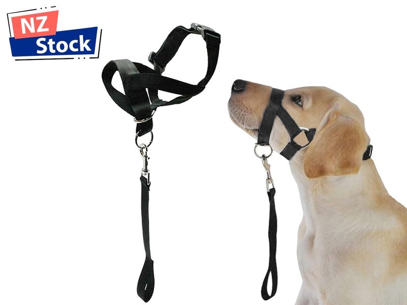 Dog Head Collar NZ Clearance Carousel 1