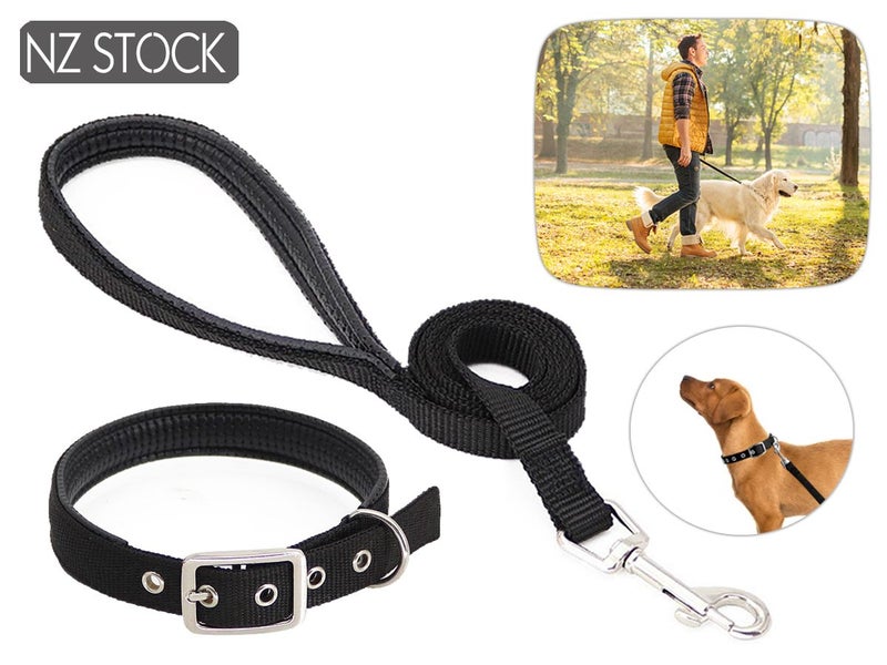 Dog Leash NZ Clearance Carousel 1