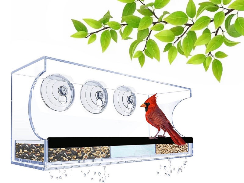 Acrylic Transparent Window Bird Feeder with 3 Suction Cups Carousel 1