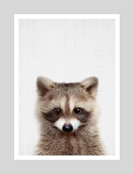 Woodland Raccoon by Lila & Lola Art Print - A3 Carousel 1