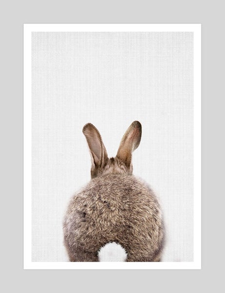 Woodland Bunny Tail by Lila & Lola Art Print - A4 Carousel 1