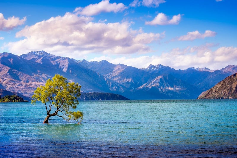 ON SALE FREE SHIPPING - LARGE Canvas Art Print - Lake Wanaka Carousel 1