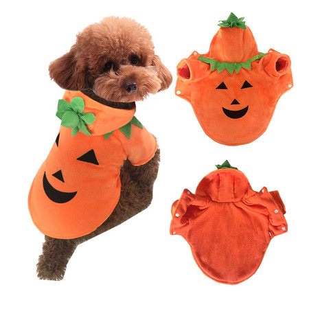 Pumpkin Dog Cat Costume Halloween Cosplay for Autumn Winter Carousel 1