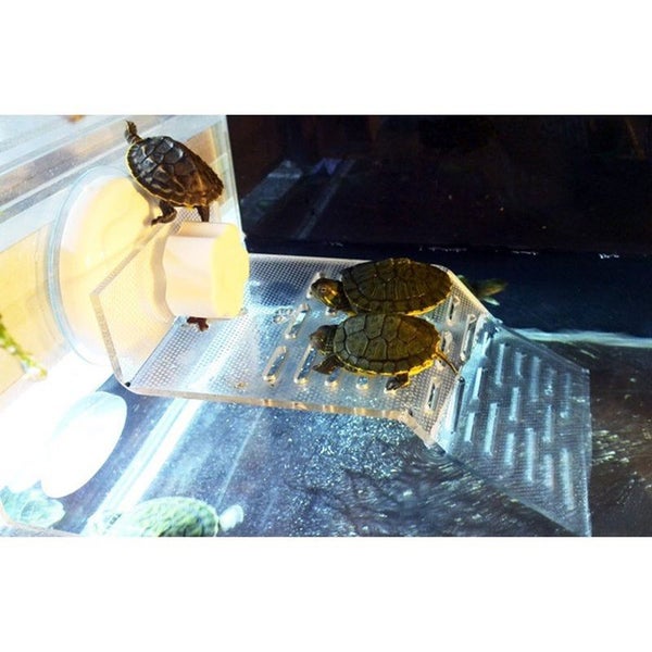 Transparent Tortoise Crawler Roof Terrace Pool Floating Island Dorsal Bask Platf Carousel 3