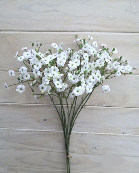 Baby Breath Spray Bundle (x9) Carousel 1