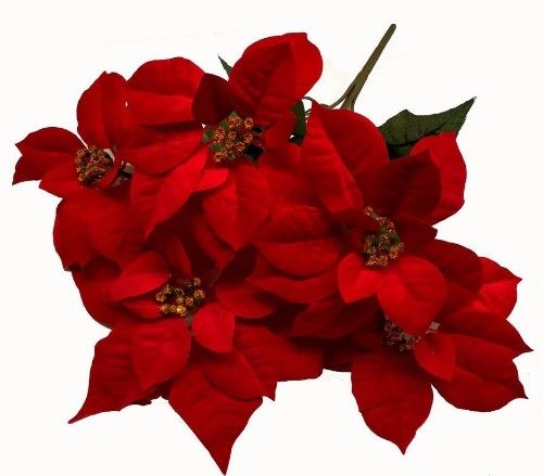 Poinsettia Bush - Large (Red) Carousel 1