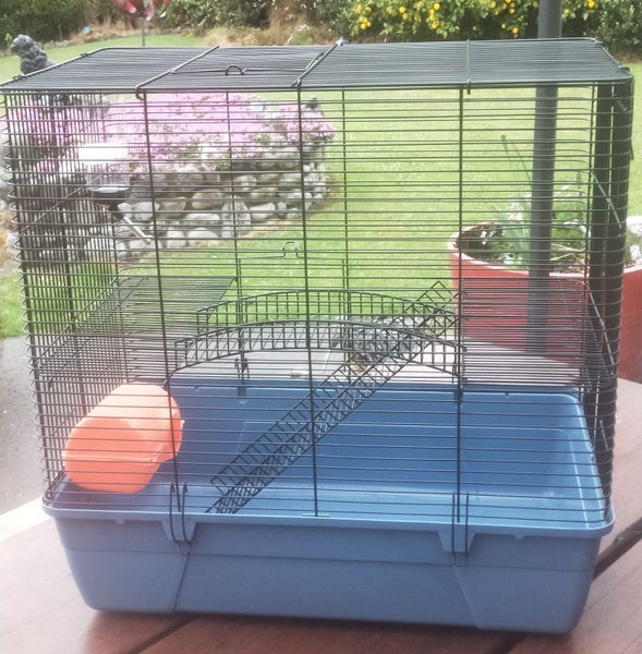 RAT CAGE Carousel 2